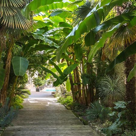 ليكتور L'Hotel Particulier Guilhon المظهر الخارجي الصورة