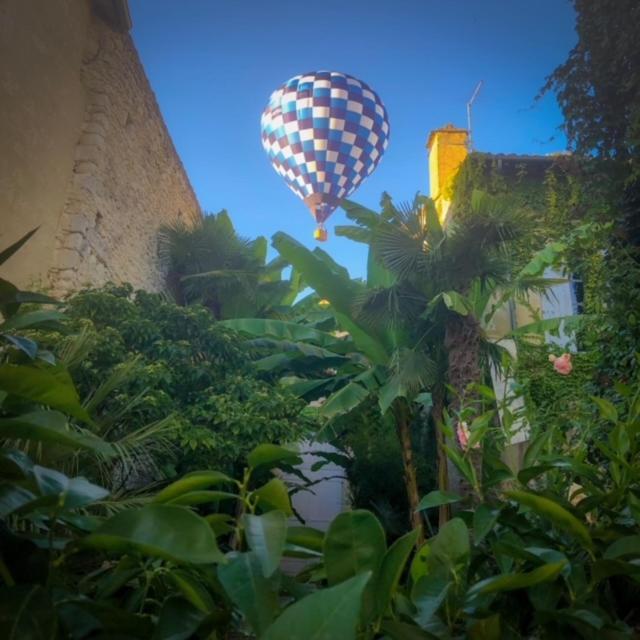 ليكتور L'Hotel Particulier Guilhon المظهر الخارجي الصورة